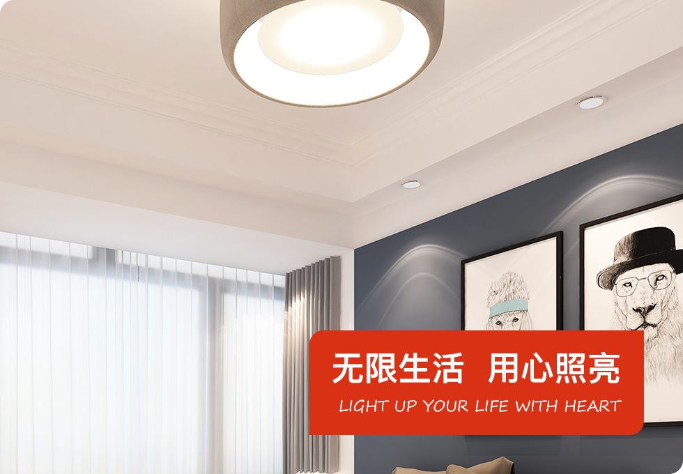 佛山市盛忻灯饰有限公司